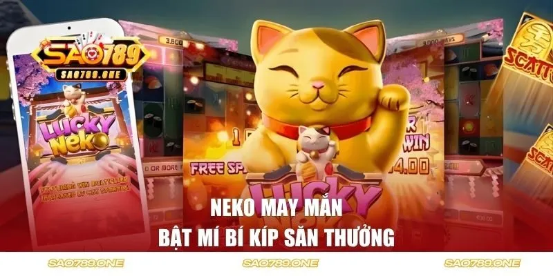Bật mí bí kíp săn thưởng