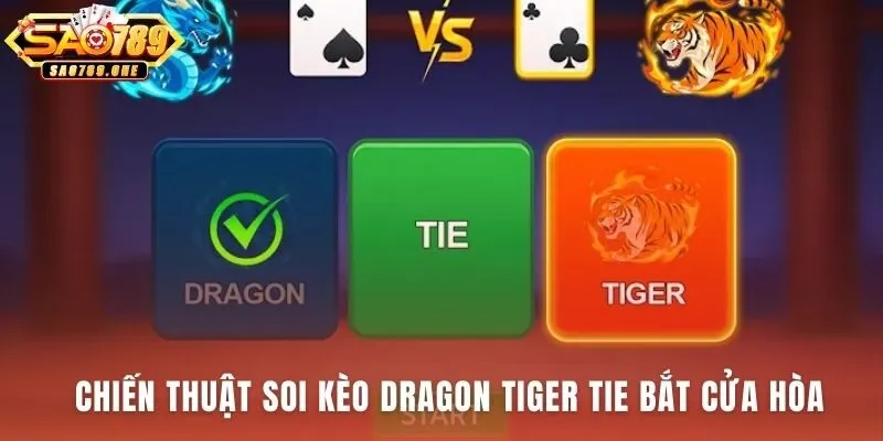 Soi kèo Dragon Tiger Tie nhận diện dấu hiệu phá chuỗi